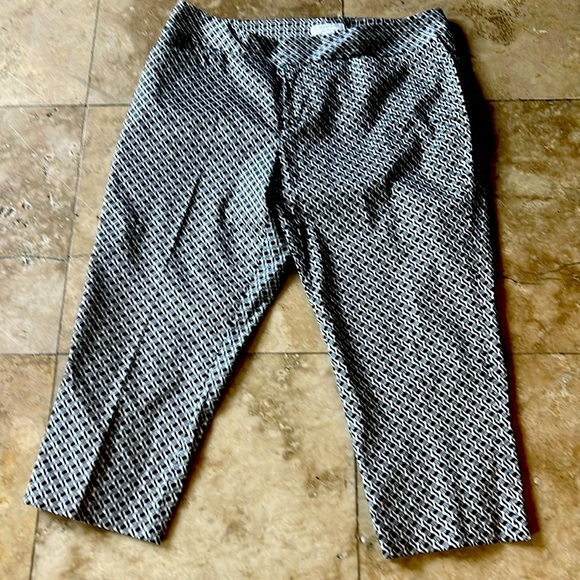 Coldwater Creek natural fit Capri Lady size 14 excellent condition - Picture 3 of 14